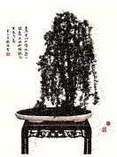 说明:说明:无